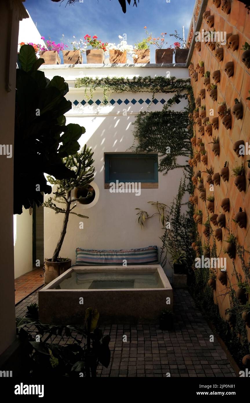central patio, skulls on the wall, with a small pool in the center, mud slab wall, climbing plants Stock Photo