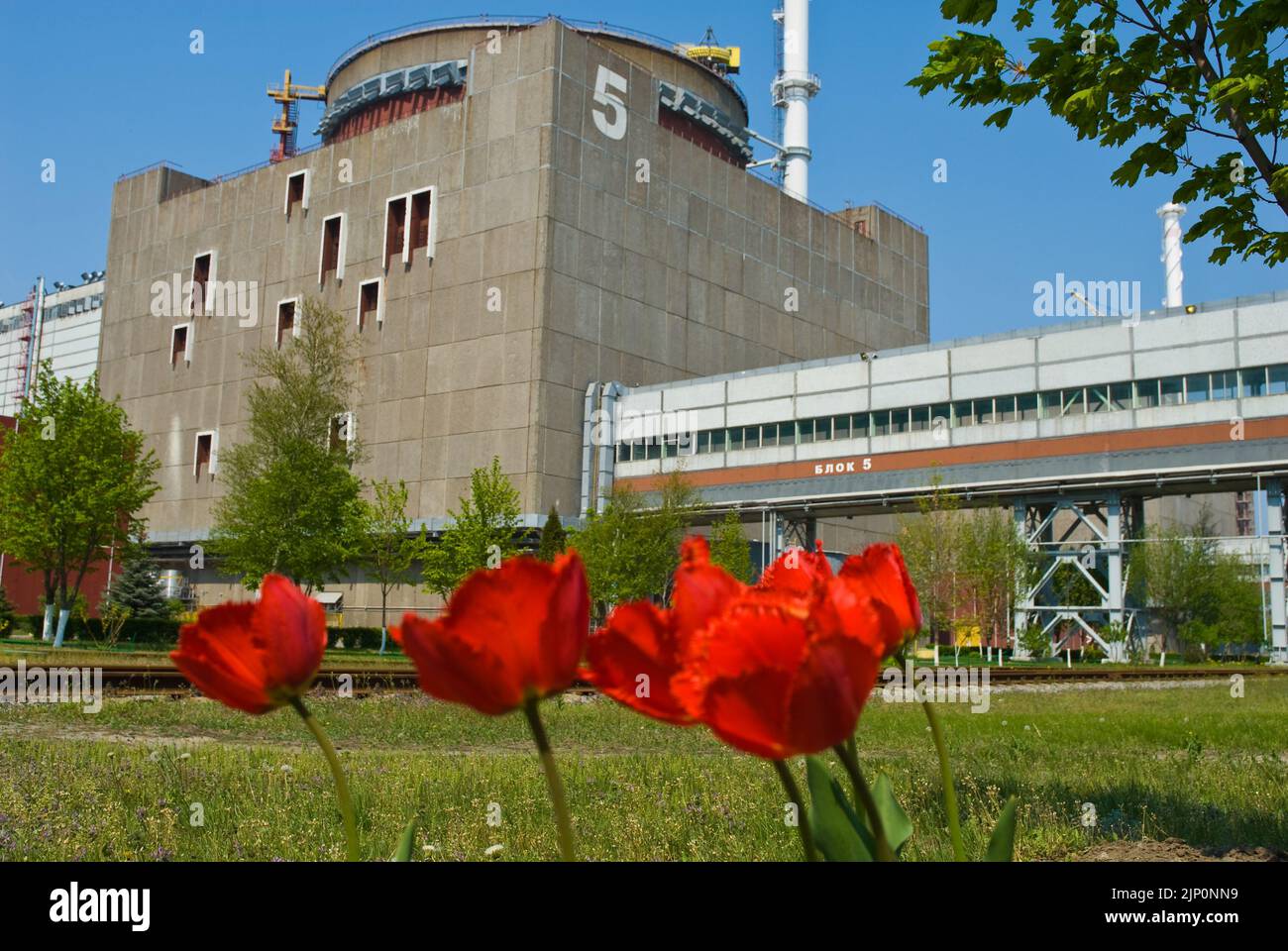 zaporozhye nuclear power plant occupation russian troops, zaporozhye ...
