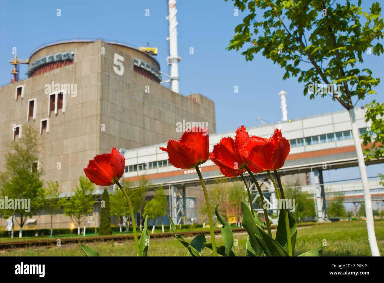 zaporozhye nuclear power plant occupation russian troops, zaporozhye nuclear power plant, zaporozhye nuclear power plant occupation russian troops att Stock Photo