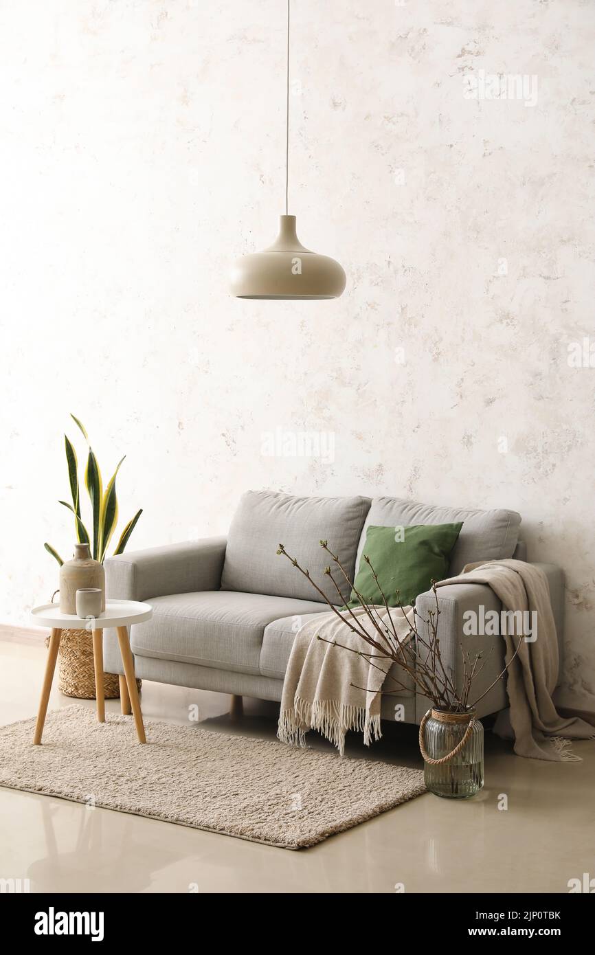 Sofa and table with houseplant in interior of light living room Stock ...