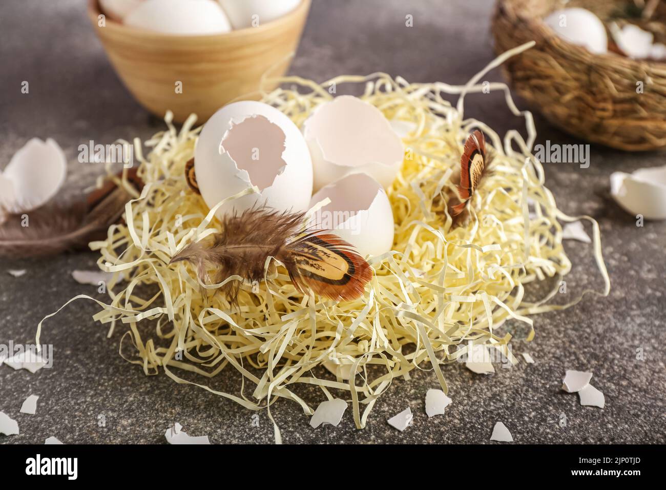 Nest with broken egg shells and feathers on dark background Stock Photo ...