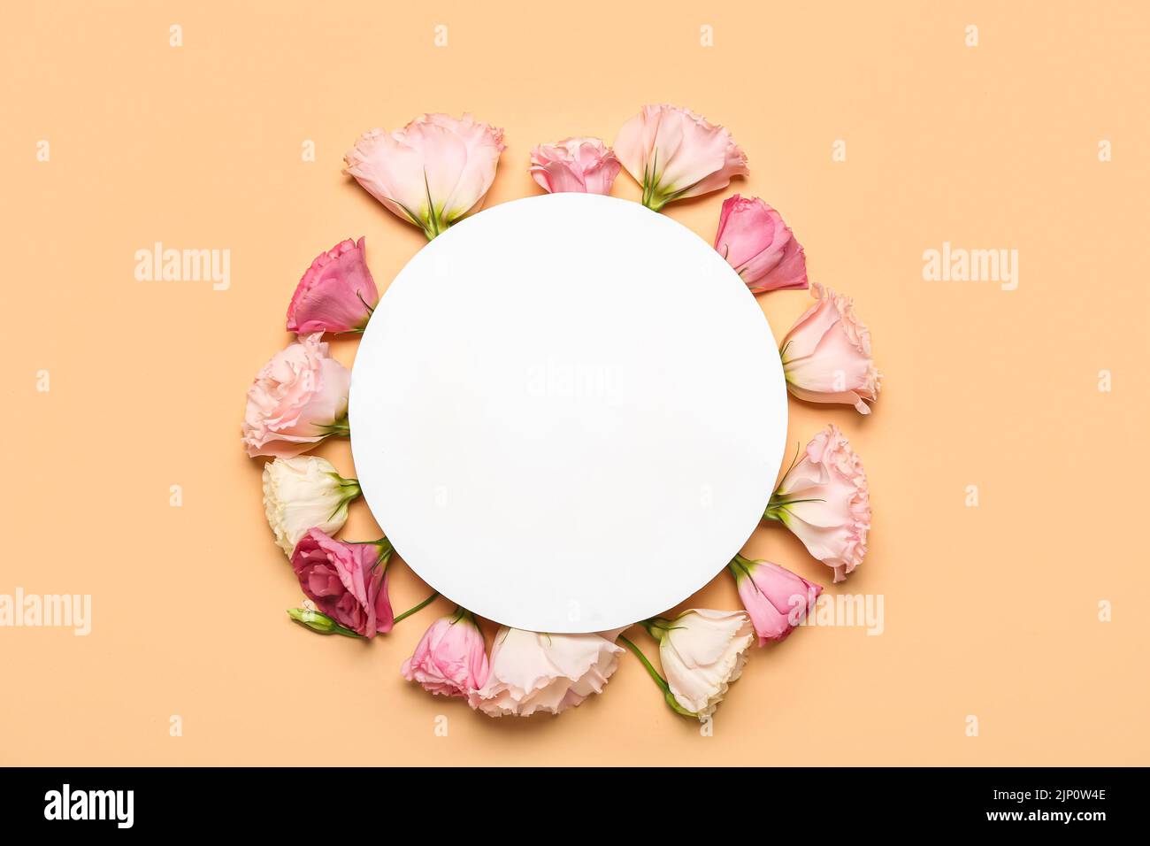 Blank paper sheet with pink flowers on beige background Stock Photo - Alamy