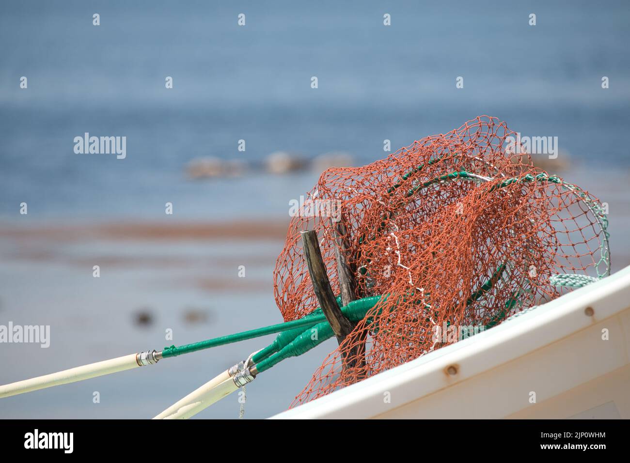 Red sea urchin nets on Japanese boat Stock Photo