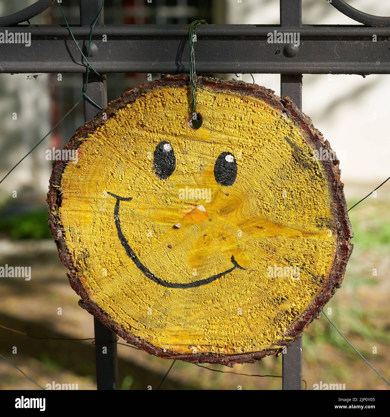 Tree disc with a face painted on it as a welcome hangs on a garden fence Stock Photo