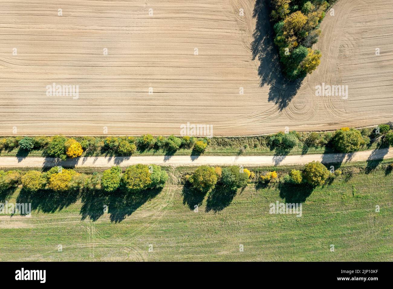 aerial top view of farm land and a dirt road on summer sunny day. drone photo. Stock Photo