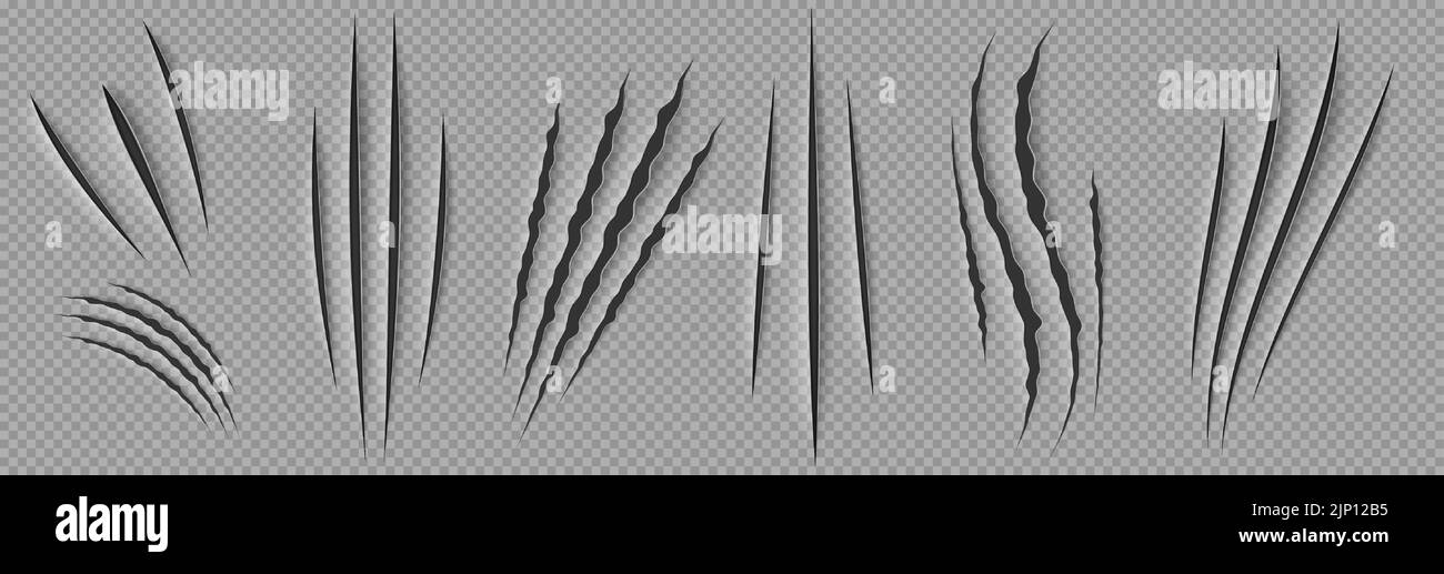 Monster claw scratches, isolated wild animal nail rips, tiger, bear or cat paws sherds on transparent background. Lion or beast breaks, traces, marks texture, Realistic 3d vector illustration, set Stock Vector