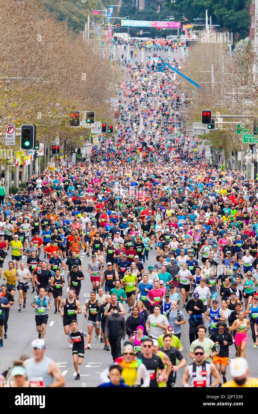 Runners in the 2022 'City 2 Surf' marathon in Australia. The event