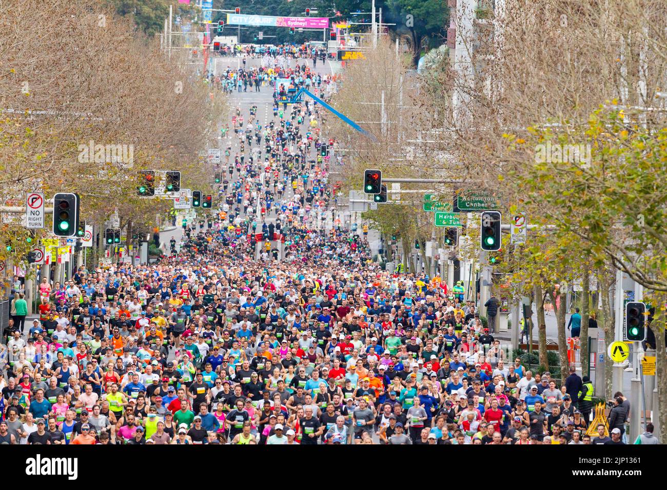 Runners in the 2022 'City 2 Surf' marathon in Australia. The event