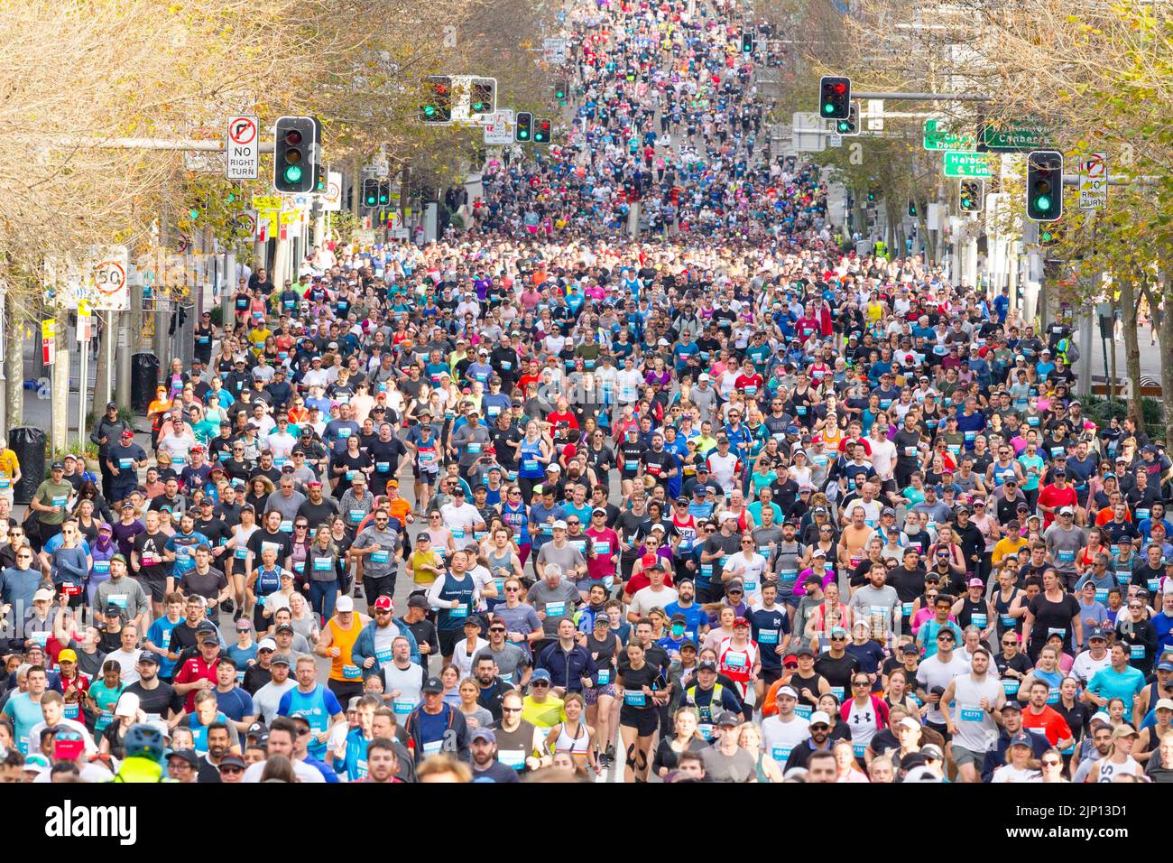 Runners in the 2022 'City 2 Surf' marathon in Australia. The event