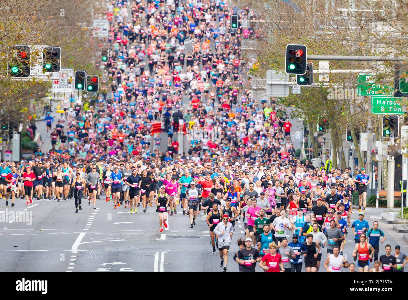 Runners in the 2022 'City 2 Surf' marathon in Australia. The event