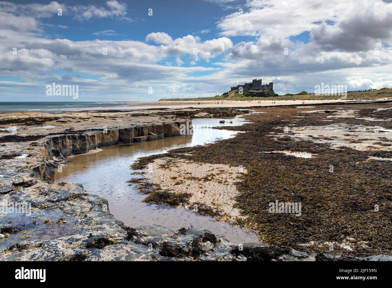 Bamburgh Beach with Bamburgh Castle beyond in summer, Northumberland, England. Stock Photo