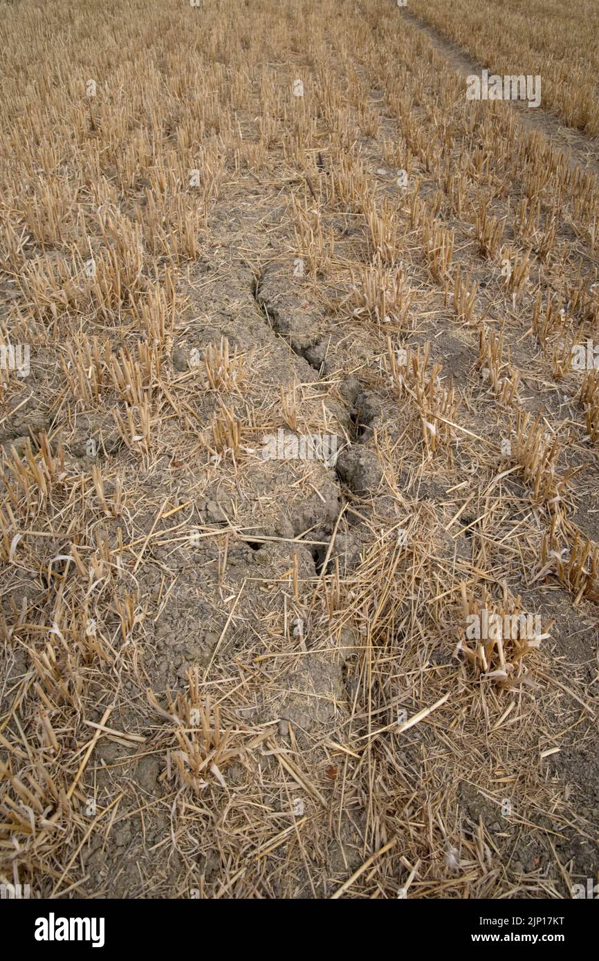 Cracks in soil appearing at peak of long hot spell with record temperatures August 2022 on slopes of Meon Hill Cotswolds UK Stock Photo