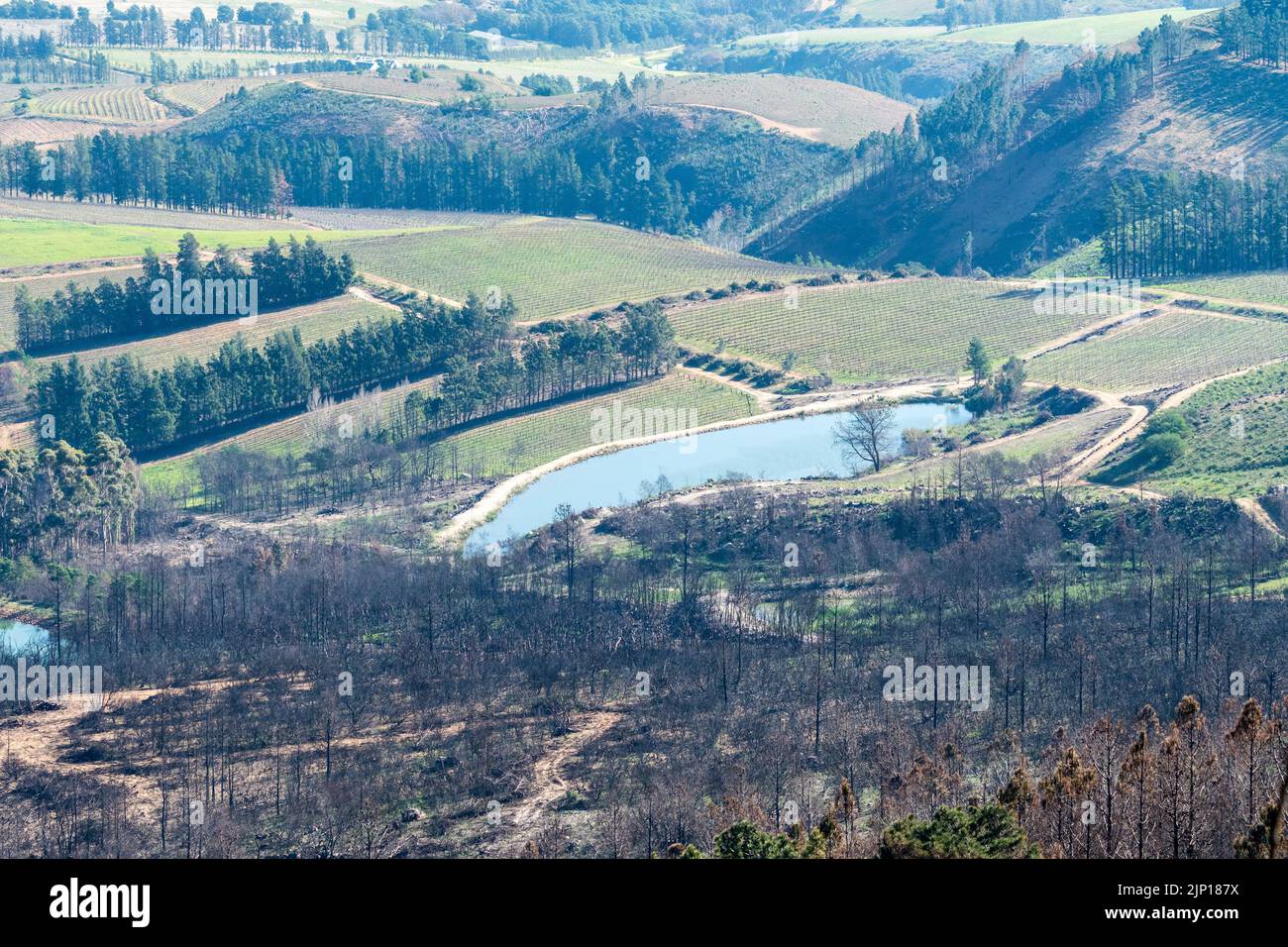 rural landscape of countryside overlooking partly burned trees on a mountainside with a farm dam and agricultural region in Western Cape, South Africa Stock Photo