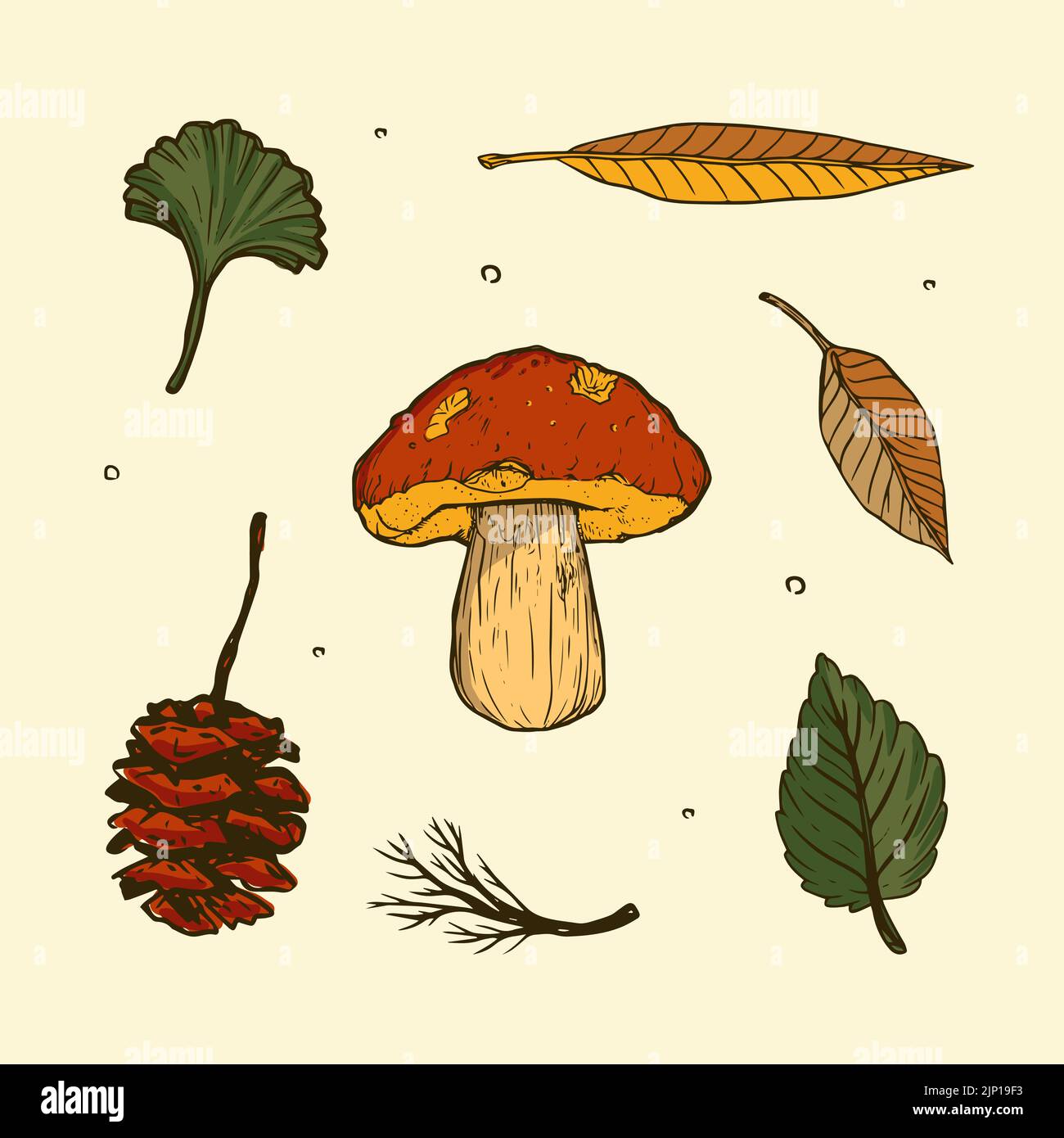 Hand drawn elements set for autumn celebration Vector illustration ...