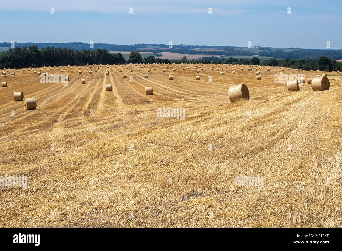 Round bales of straw on stubble field after grain harvest hi-res stock ...