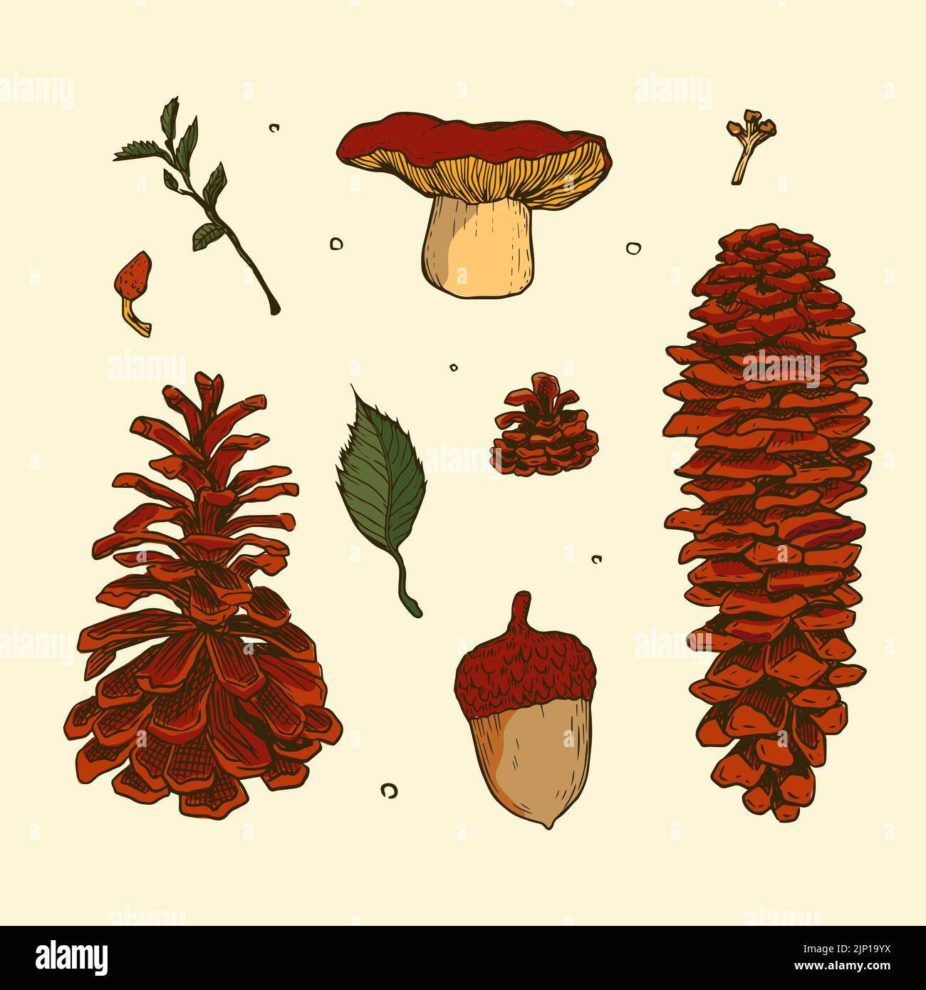 Hand drawn elements set for autumn celebration Vector illustration ...