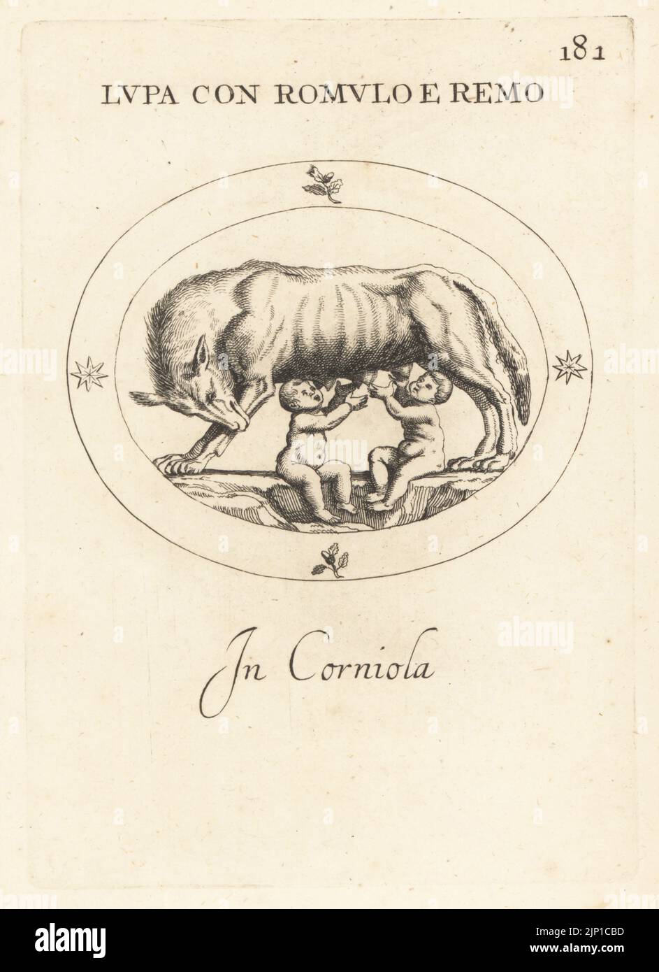 Romulus and Remus, legendary founders of Rome, suckled by a wolf. In carnelian. Lupa con Romulo e Remo. In corniola. Copperplate engraving by Giovanni Battista Galestruzzi after Leonardo Agostini from Gemmae et Sculpturae Antiquae Depicti ab Leonardo Augustino Senesi, Abraham Blooteling, Amsterdam, 1685. Stock Photo
