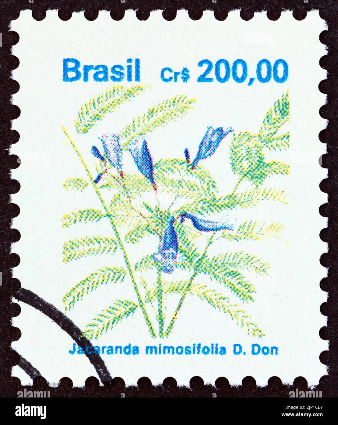 BRAZIL - CIRCA 1990: A stamp printed in Brazil from the 'Flowers' issue shows Jacaranda mimosifolia, circa 1990. Stock Photo