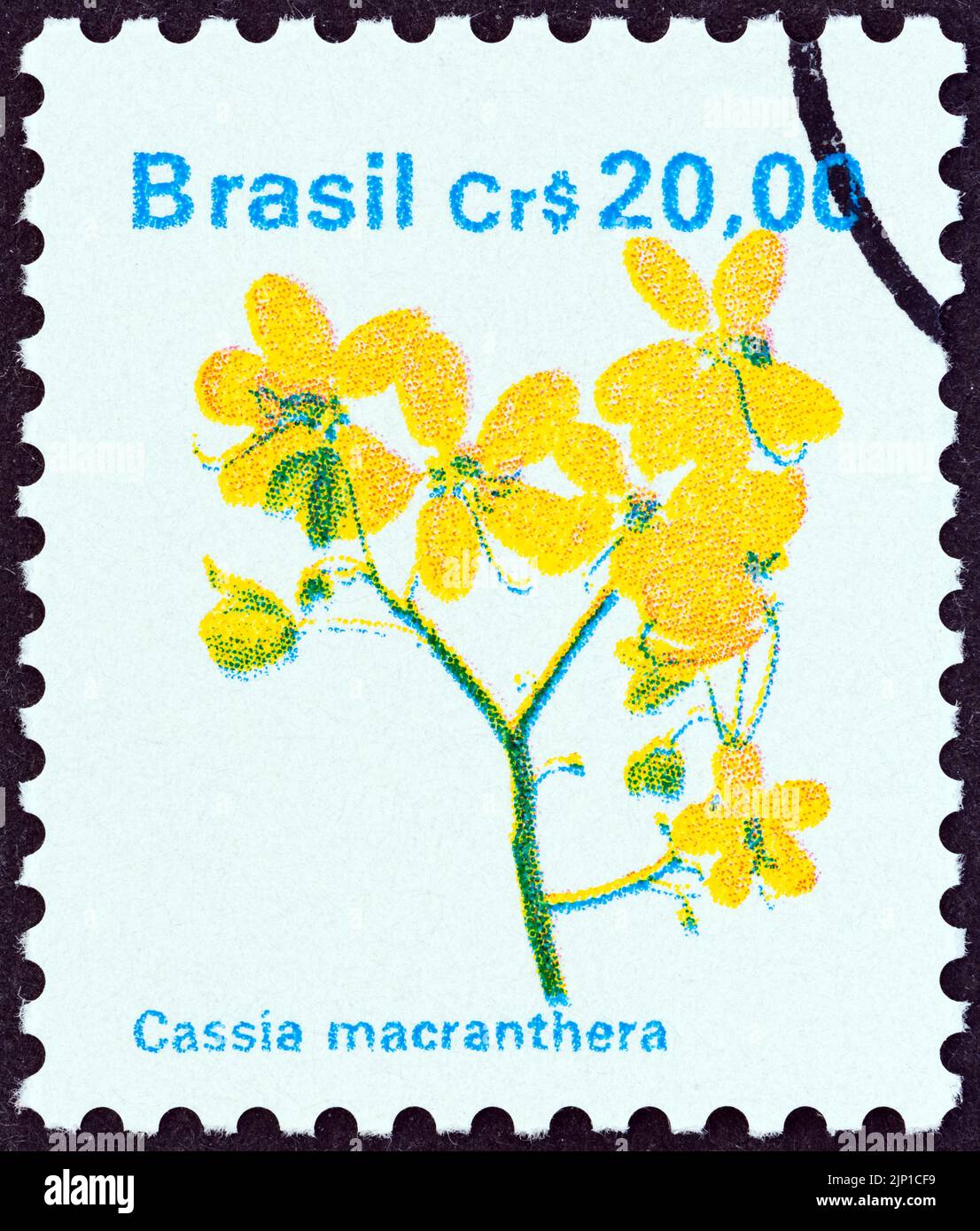 BRAZIL - CIRCA 1990: A stamp printed in Brazil from the 'Flowers' issue shows Cassia macranthera, circa 1990. Stock Photo