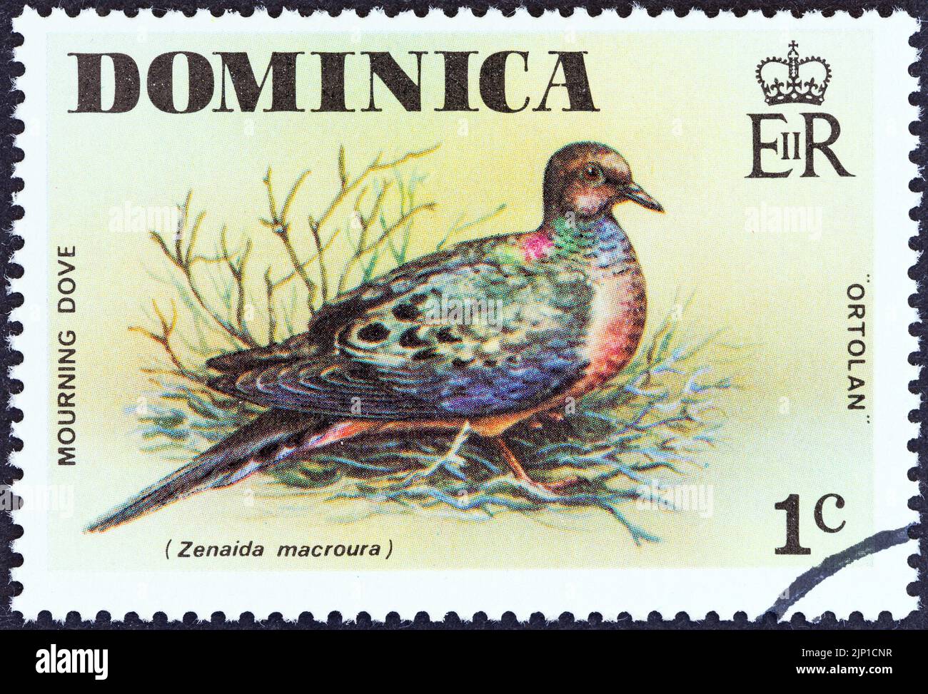 DOMINICA - CIRCA 1976: A stamp printed in Dominica from the 'Wild Birds' issue shows Mourning dove (Zenaida macroura), circa 1976. Stock Photo