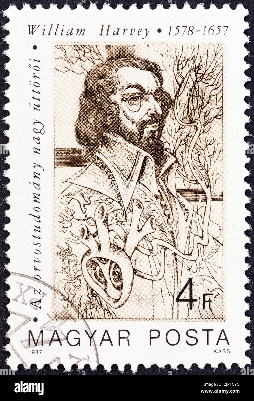 HUNGARY - CIRCA 1987: A stamp printed in Hungary from the 'Pioneers of Medicine' issue shows William Harvey (circulation of blood). Stock Photo