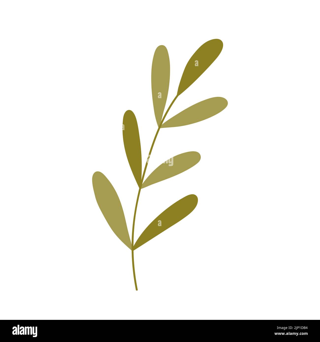 Green twig with leaves isolated on white background. Vector ...