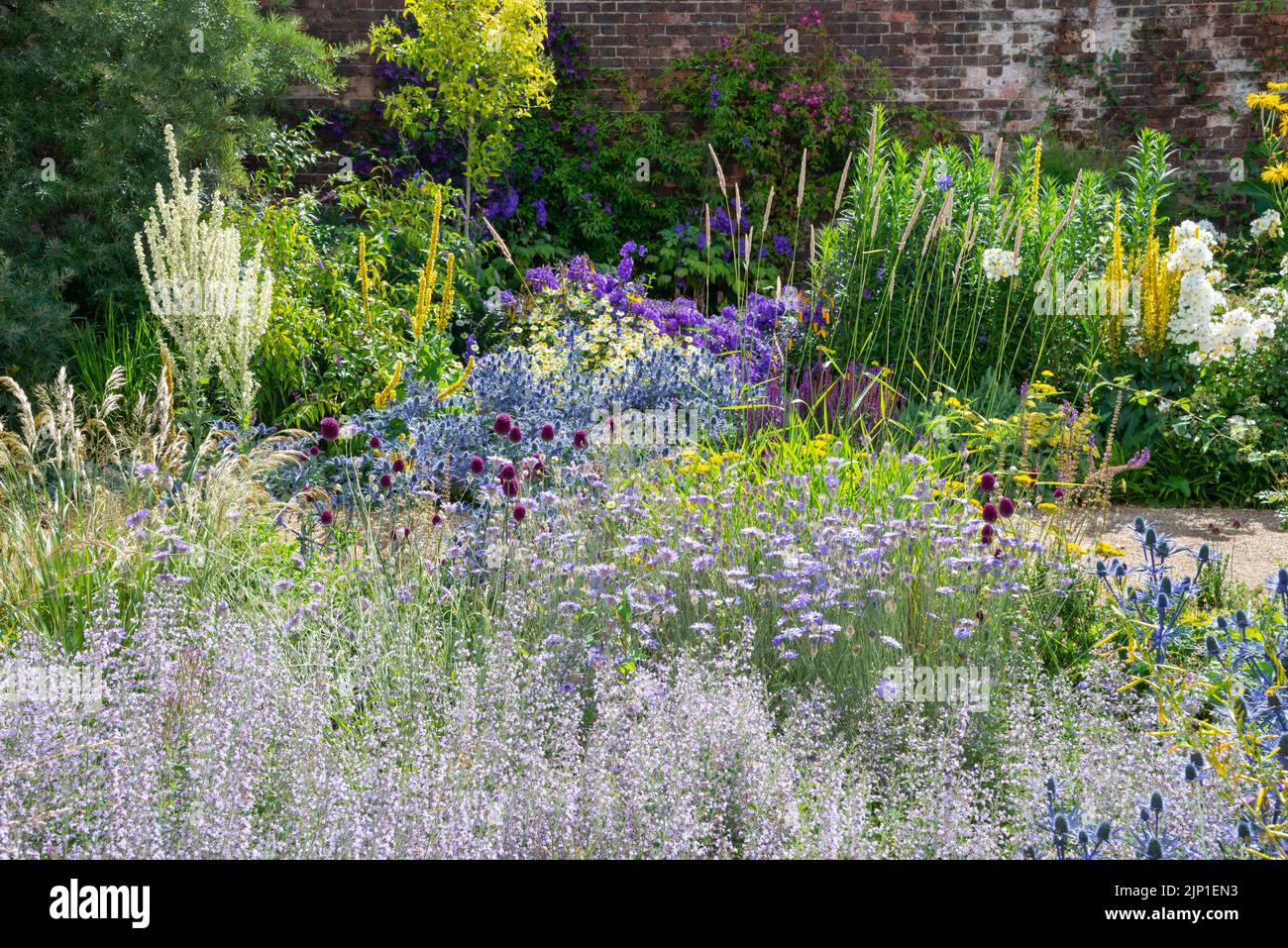 The Paradise garden at RHS Bridgewater, Worsley, Greater Manchester, England. Stock Photo