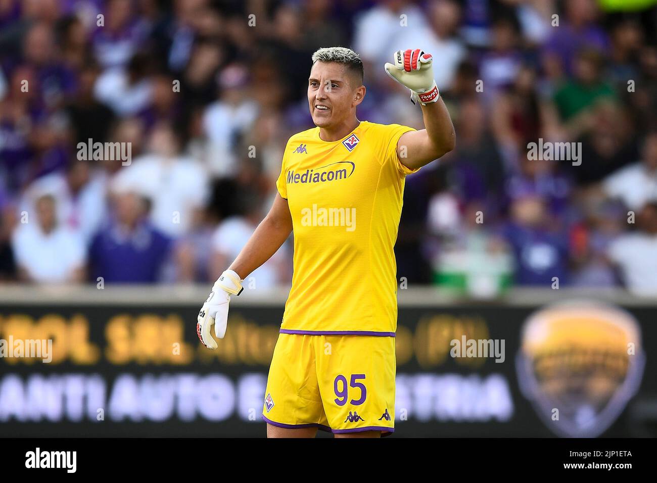 Florence, Italy. 14 August 2022. Pierluigi Gollini of ACF Fiorentina gestures during the Serie A football match between ACF Fiorentina and US Cremonese. Credit: Nicolò Campo/Alamy Live News Stock Photo
