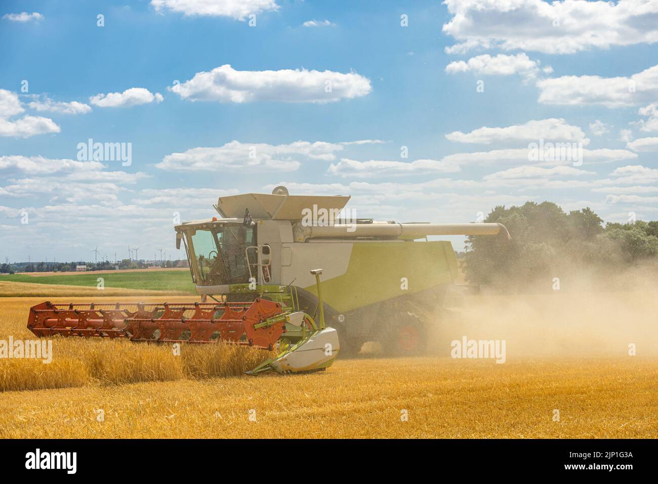 combine, grain harvest, harvester, combines, grain harvests, harvesters