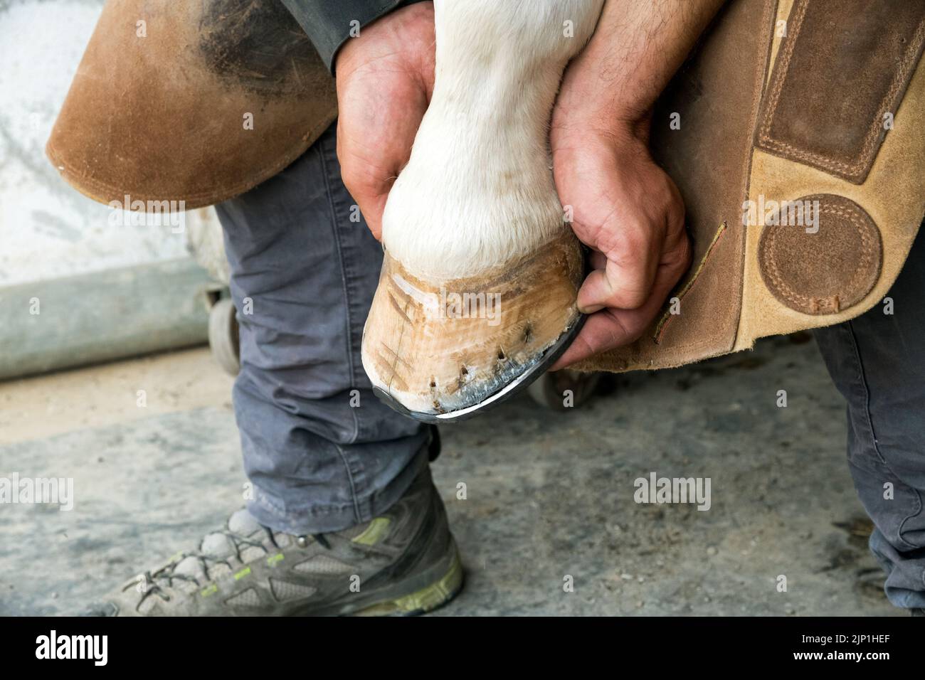 horseshoe, farrier, hoof fog, horseshoes, farriers Stock Photo Alamy