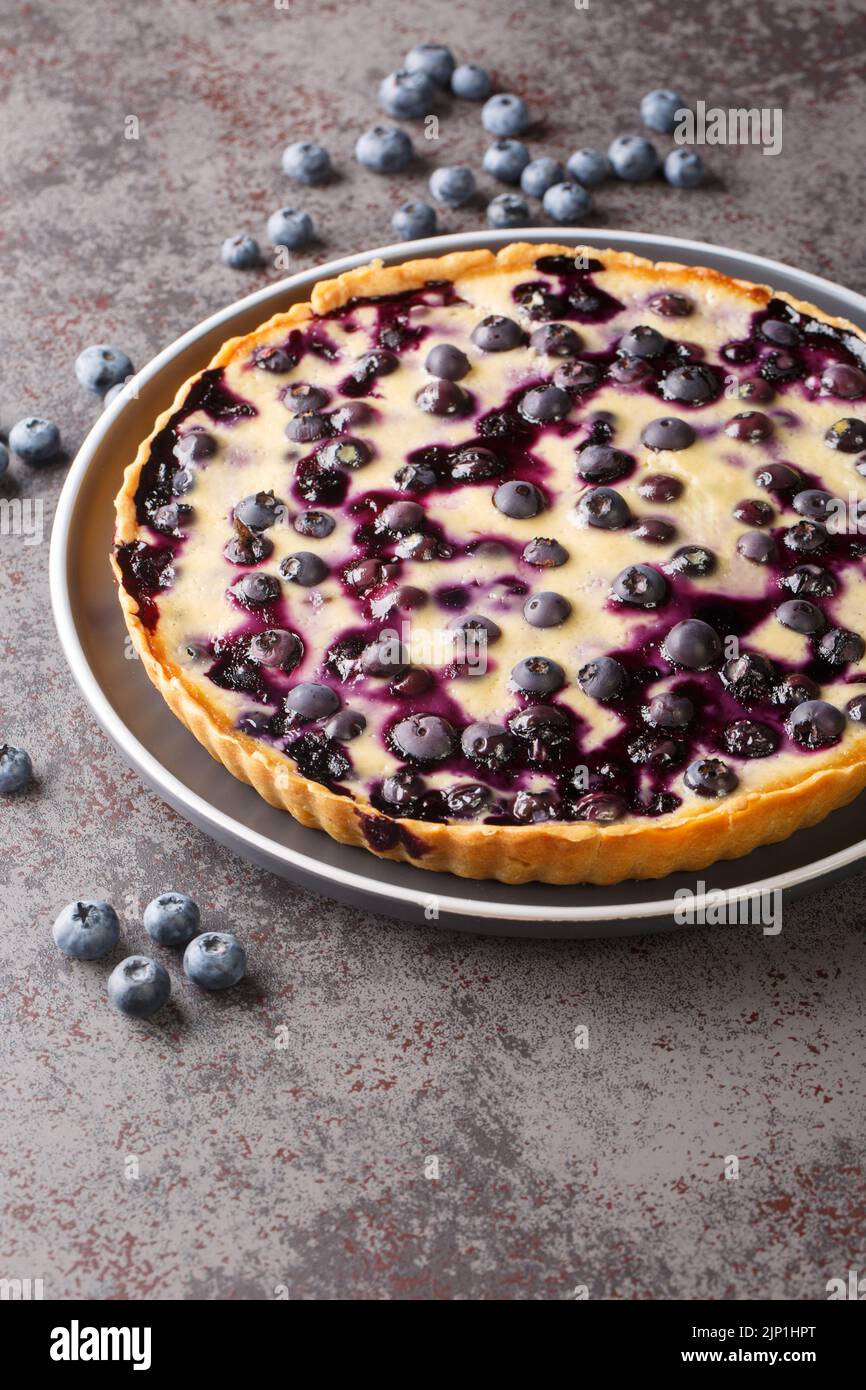 Blueberry tart with vanilla custard cream close-up in a plate on a table. Vertical Stock Photo