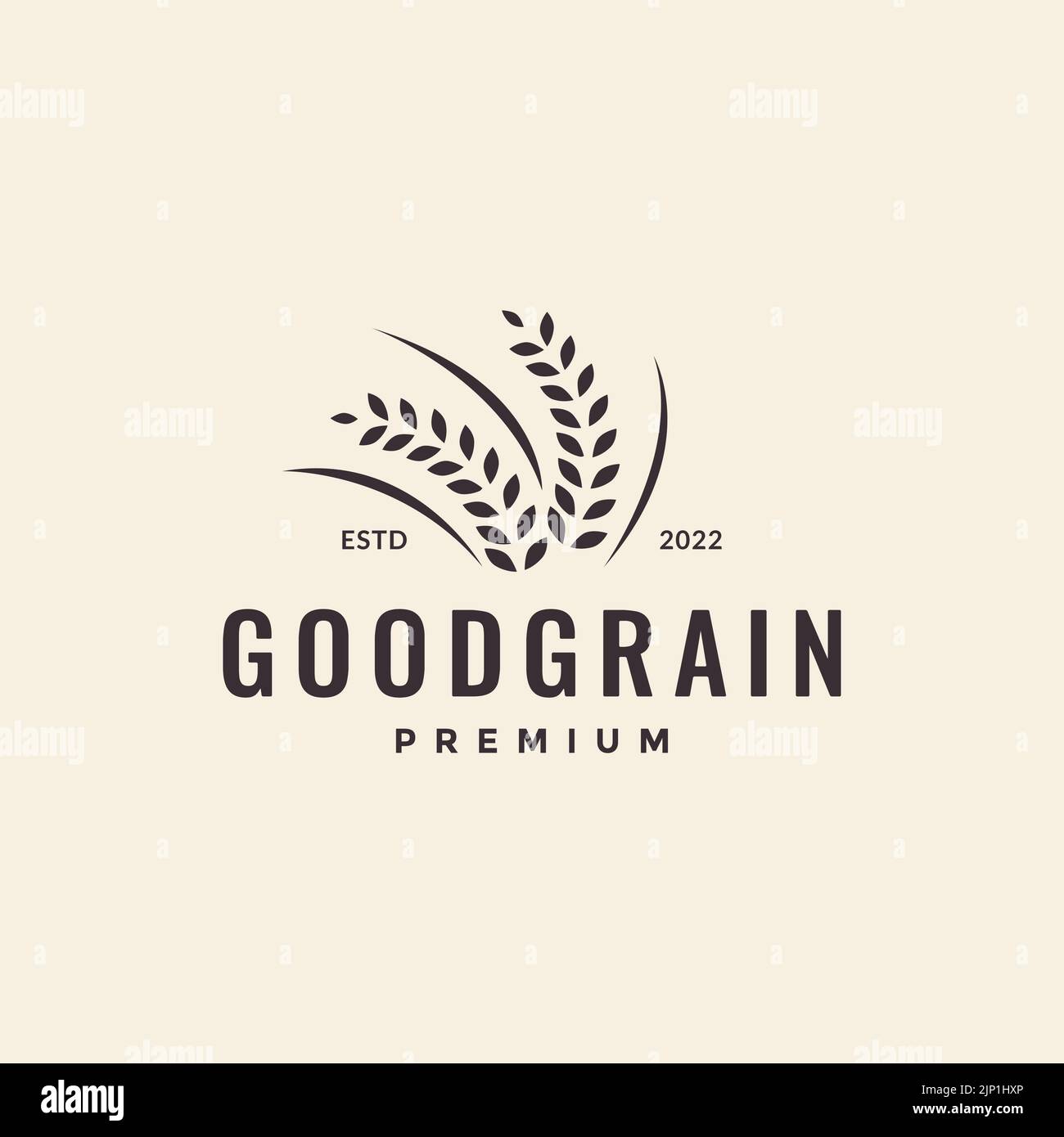 hipster grain wheat logo design Stock Vector
