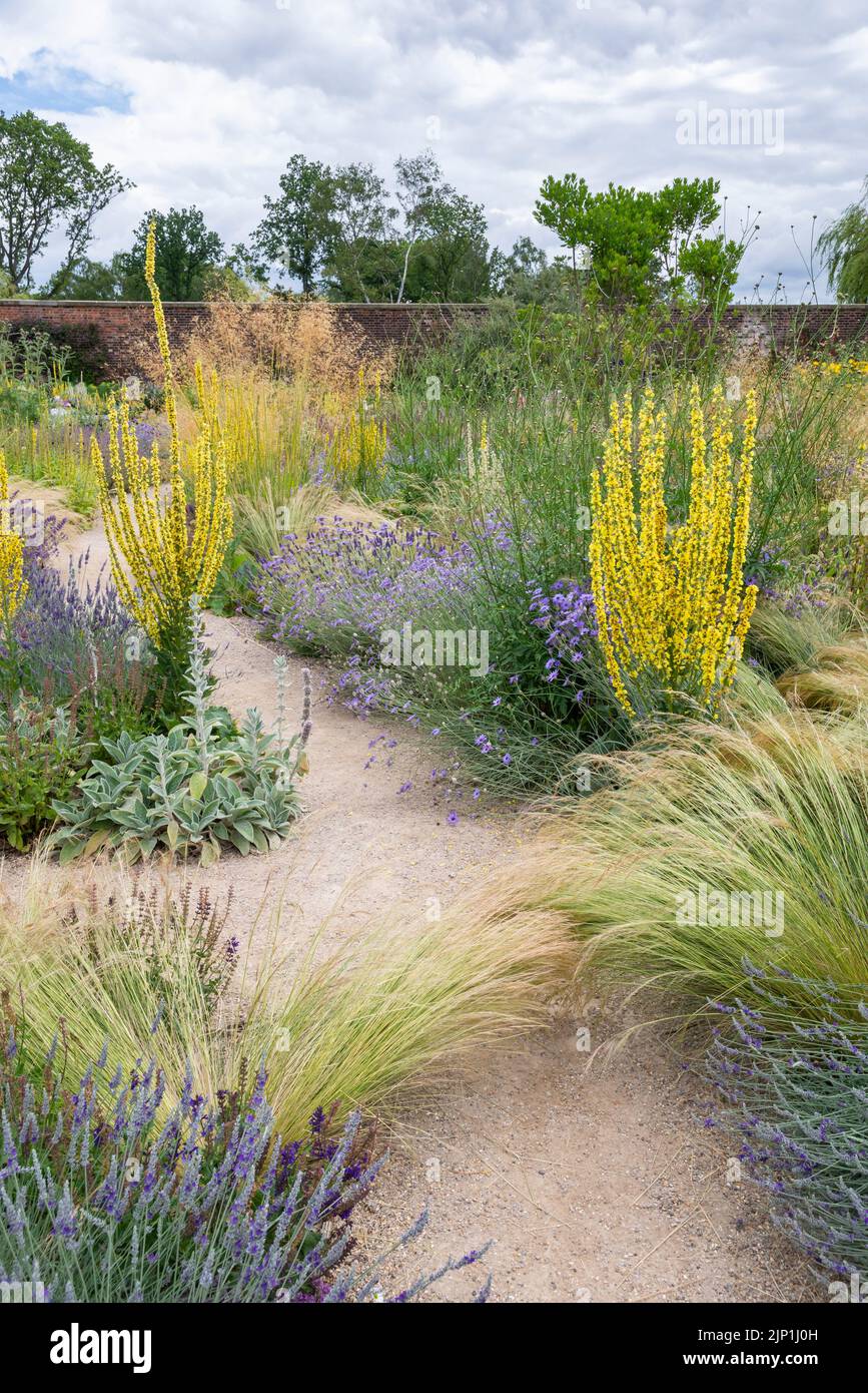 Summer planting in the Paradise garden at RHS Bridgewater, Worsley, Greater Manchester, England. Stock Photo