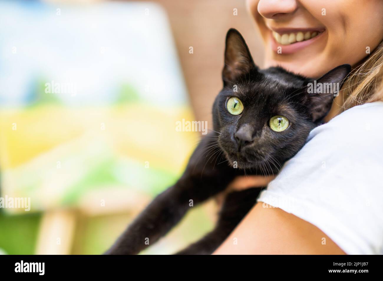 Beautiful black cat in the arms of her owner Stock Photo Alamy