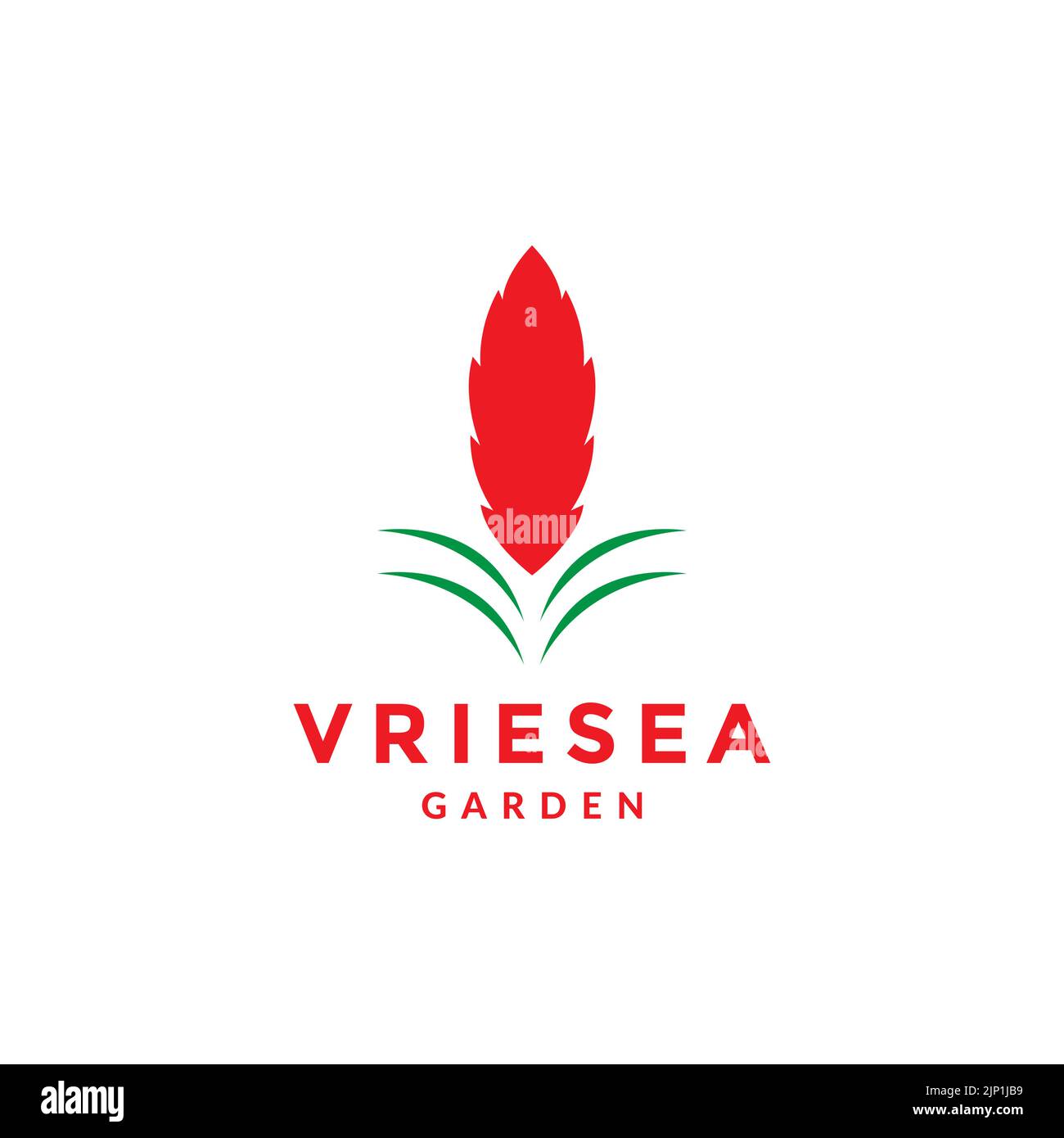colorful flower vriesea logo design Stock Vector