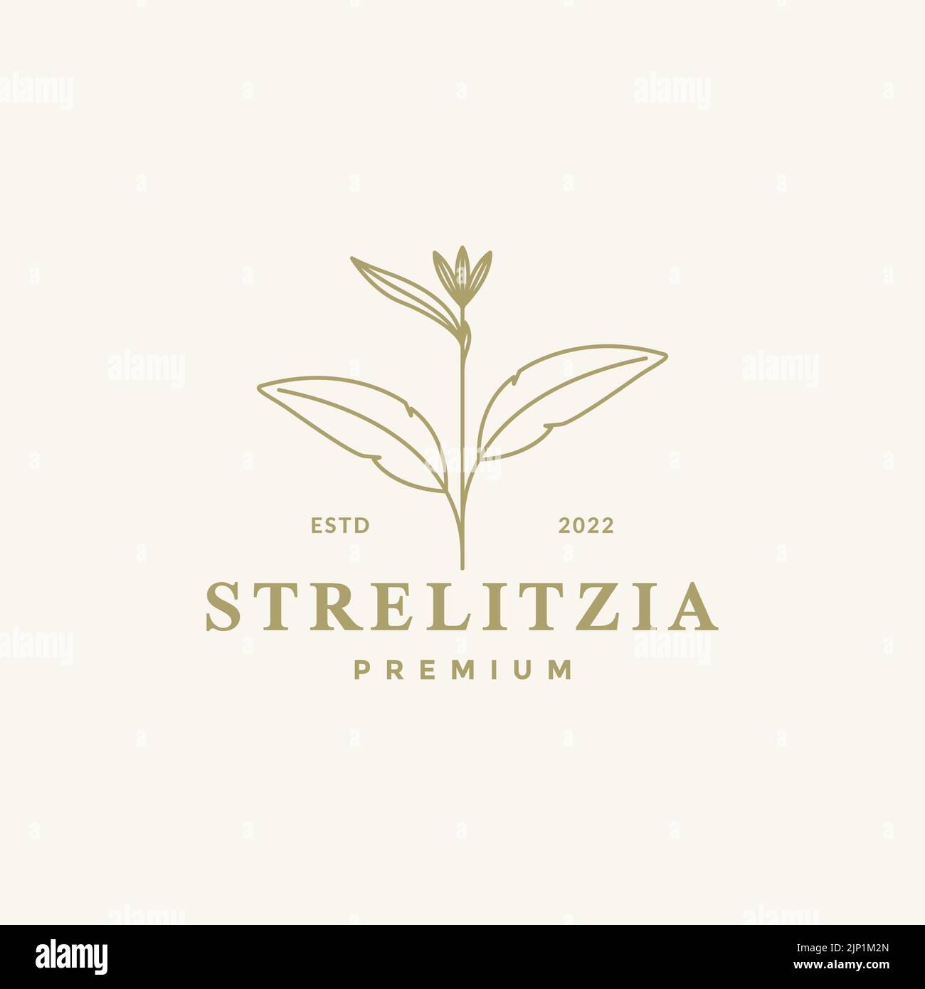 aesthetic flower strelitzia logo design Stock Vector