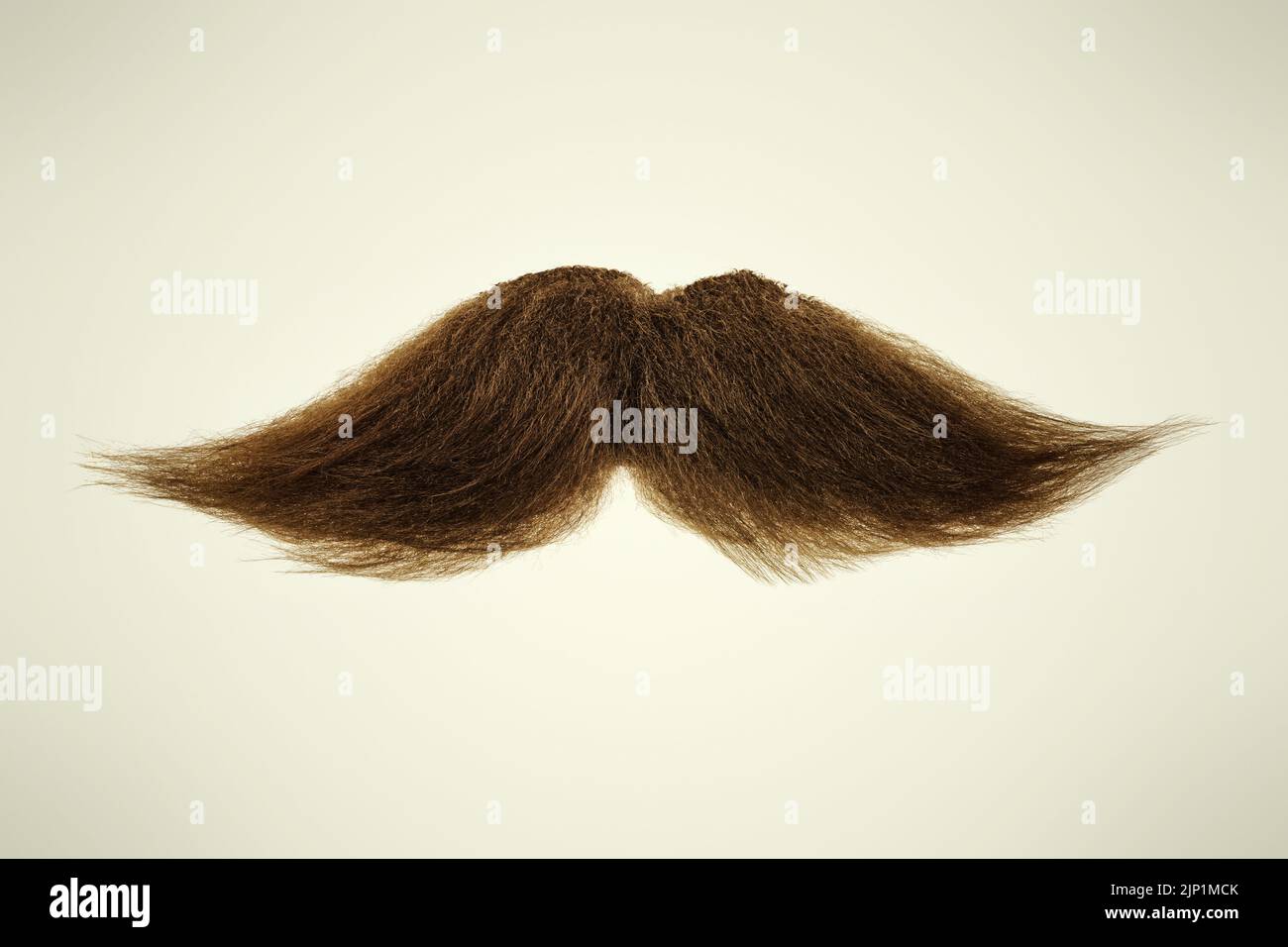 Curly brown mustache on a sepia background Stock Photo