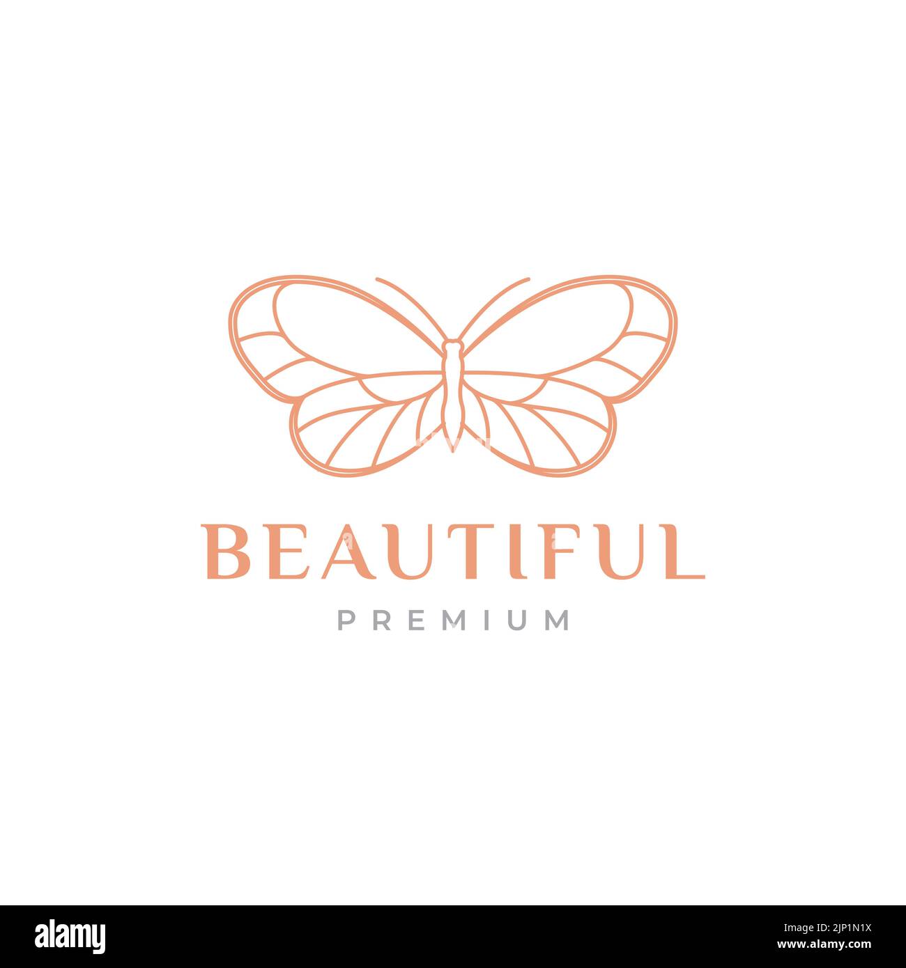 art beautiful aesthetic butterfly logo Stock Vector Image & Art Alamy
