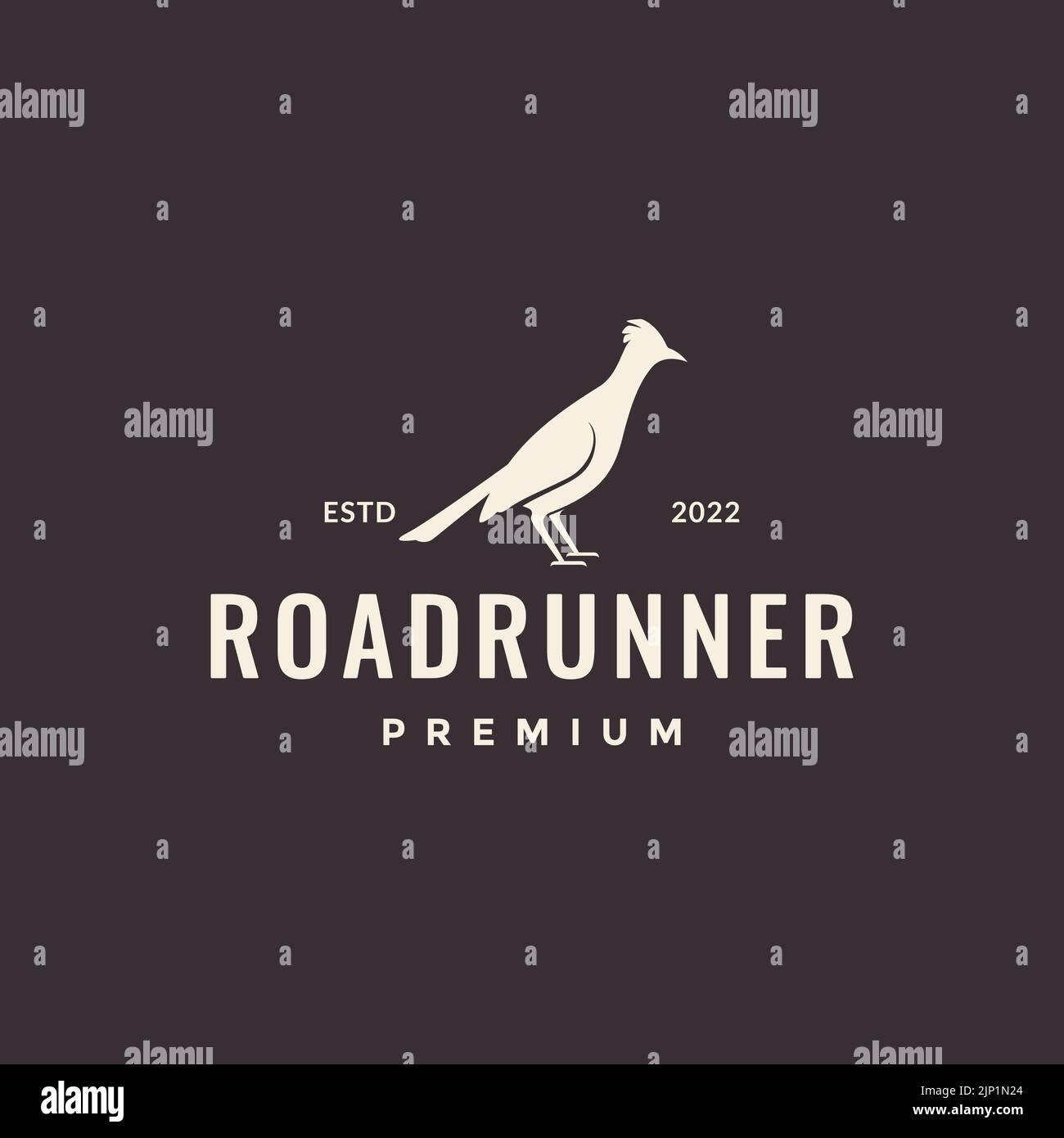bird roadrunner hipster logo design Stock Vector