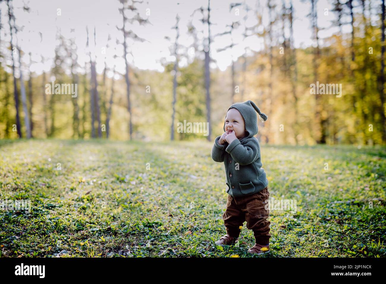Cute little boy wearing knitted hoodie in nautre,during sunset, autumn concept. Stock Photo