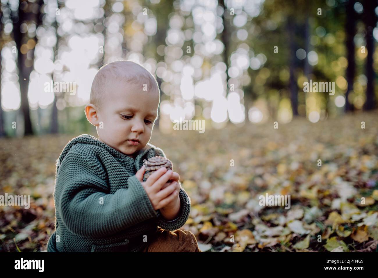 Little boy sitting in dry leaves in nature, autumn concept Stock Photo ...