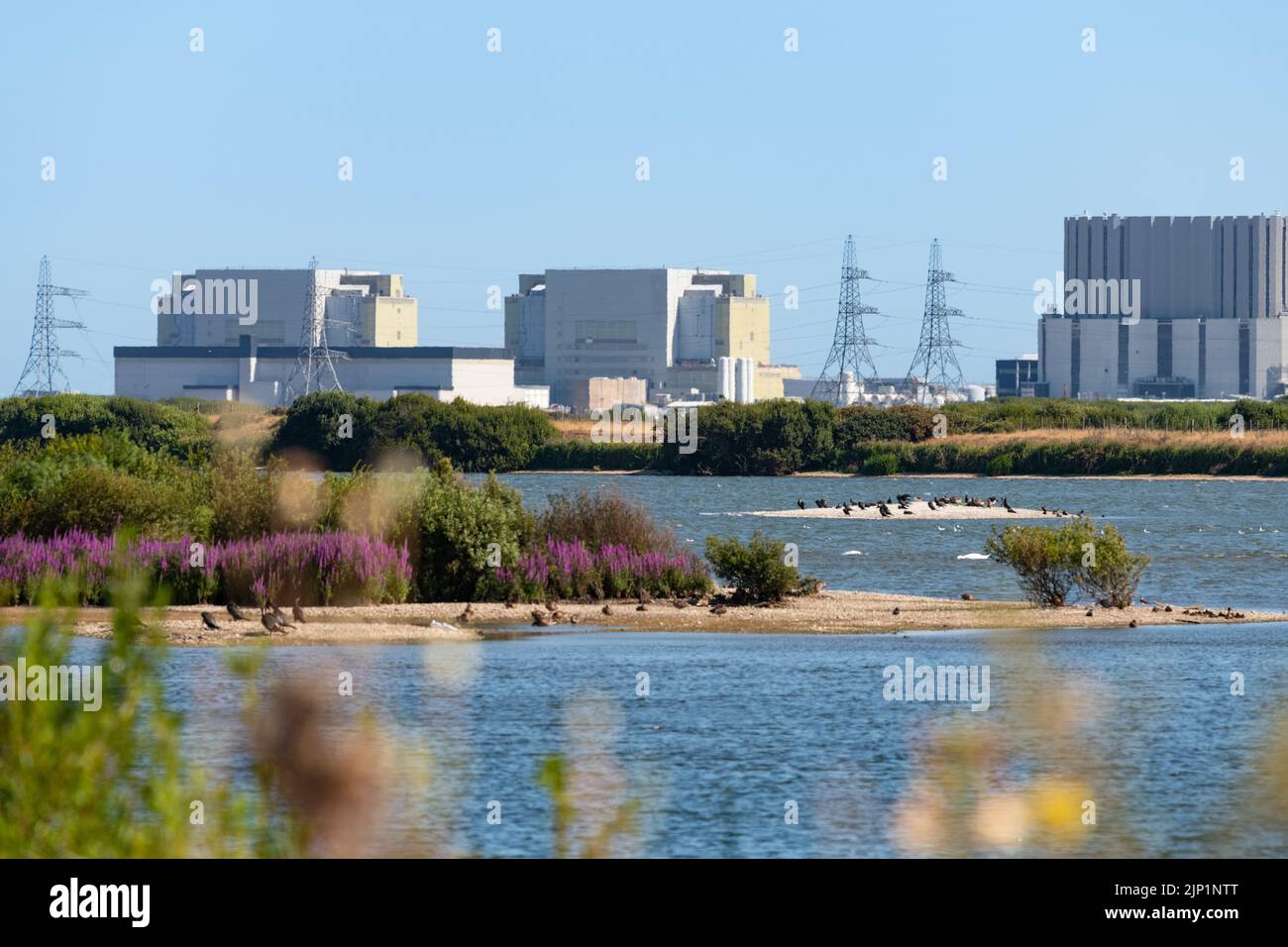 RSPB Dungeness with Dungeness power station behind - Dungeness, Kent, England, UK Stock Photo