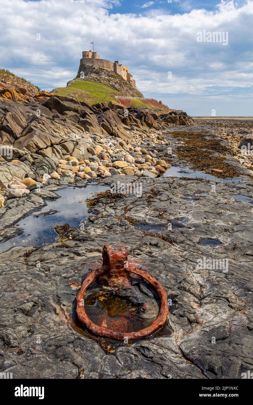 old mooring ring on shore at lindisfarne castle holy island Stock Photo