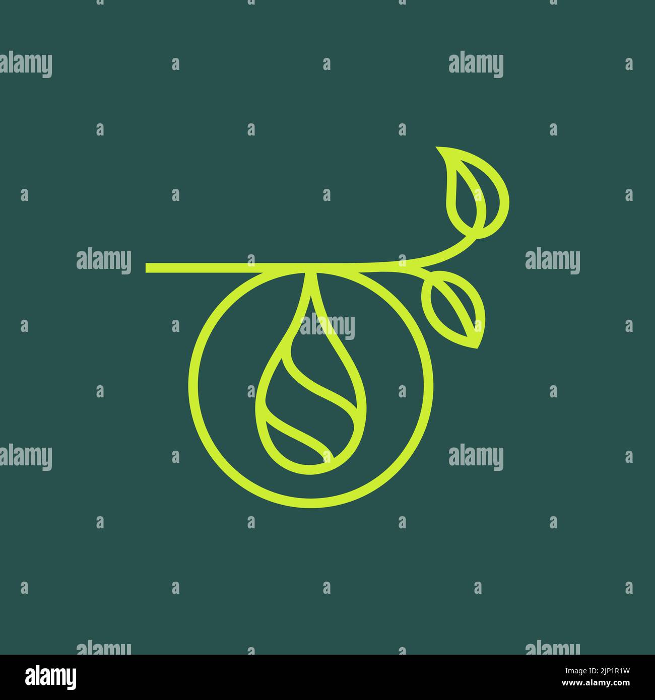 lines art cocoon butterfly logo design Stock Vector