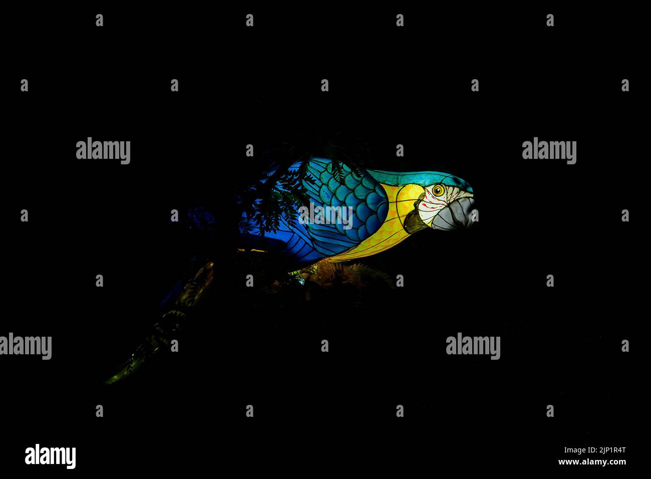Parrot Sculpture Hi Res Stock Photography And Images Photo Inspiration
