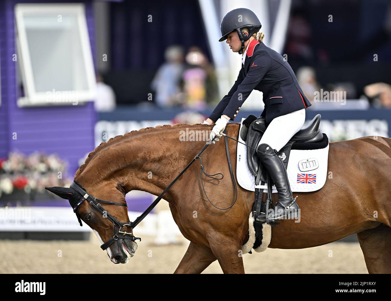 Herning, Denmark. 14th Aug, 2022. World Equestrian Games. Georgia ...