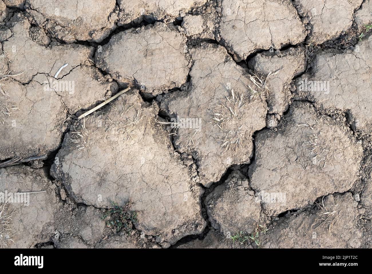 Dried Earth Stock Photo