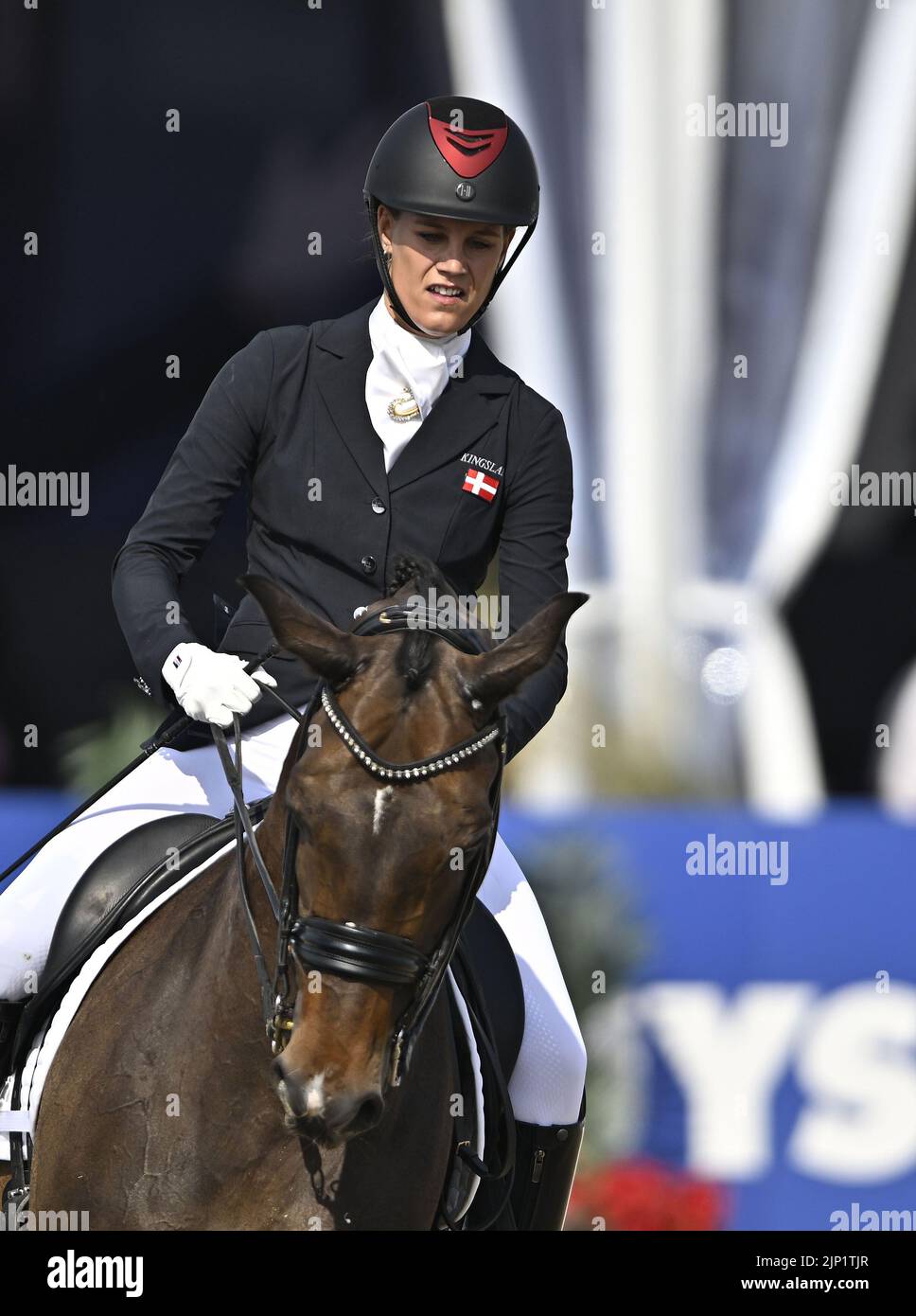 Herning, Denmark. 14th Aug, 2022. World Equestrian Games. Nicole ...