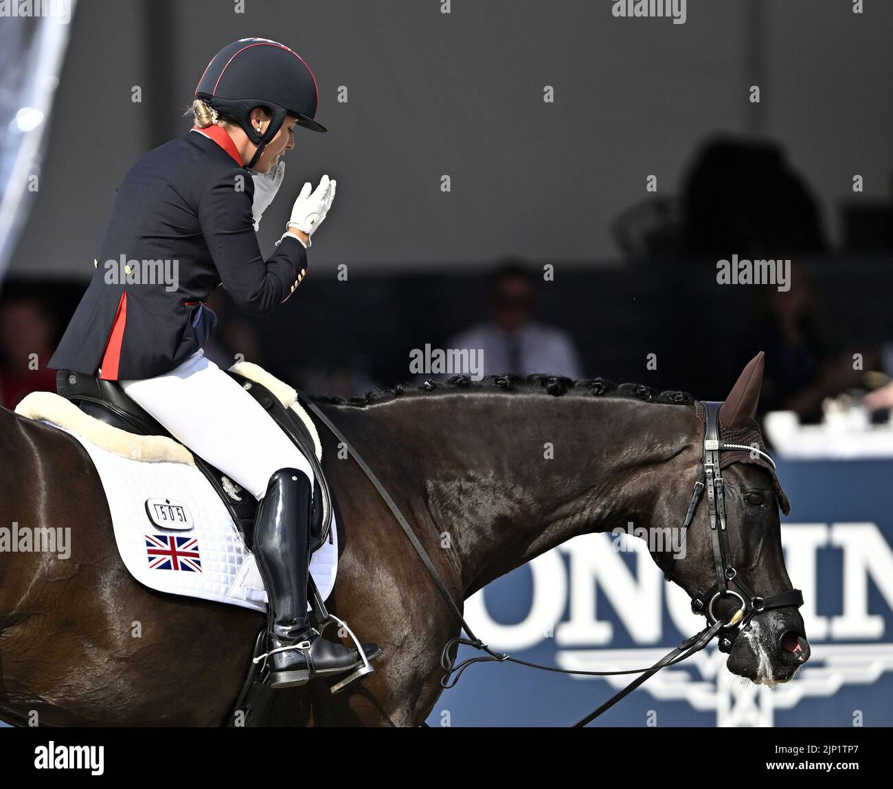 Sophie wells and don cara m hi-res stock photography and images - Alamy