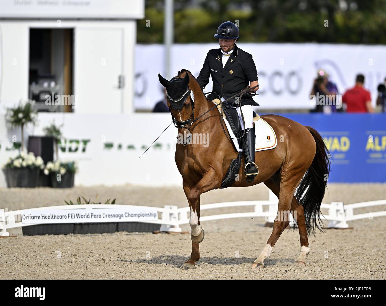 Herning, Denmark. 14th Aug, 2022. World Equestrian Games. Kevin Van Ham (BEL) riding EROS VAN ONS HEEM during the FEI World Para Dressage Individual Championship. Credit: Sport In Pictures/Alamy Live News Stock Photo